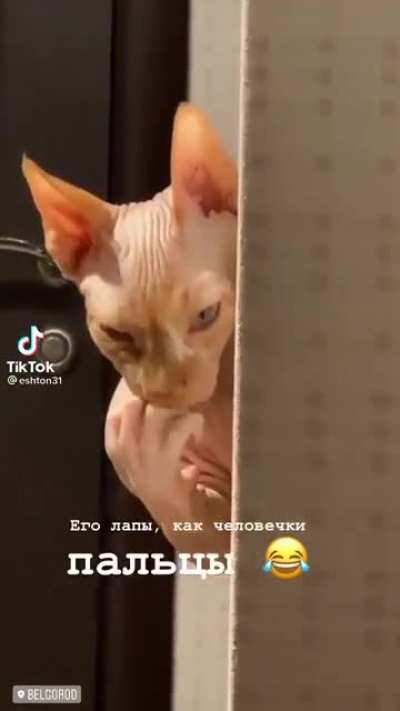Длинные пальчики