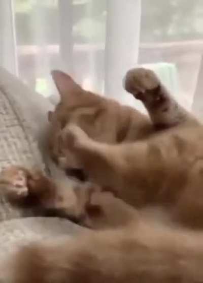 ERROR404