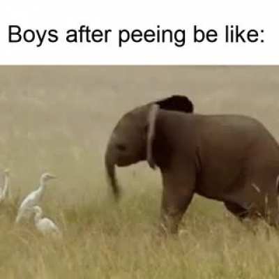 Accurate, I guess