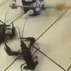 hmmm