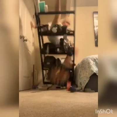 Guy Chilling On Top Of Bookcase