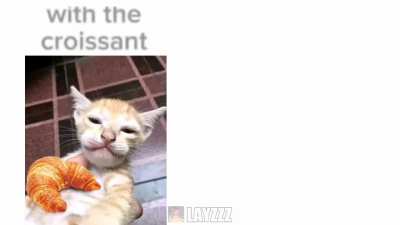 Quaswunk