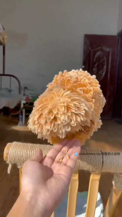 🔥 Buff-laced polish chicken has a distinctive appearance..