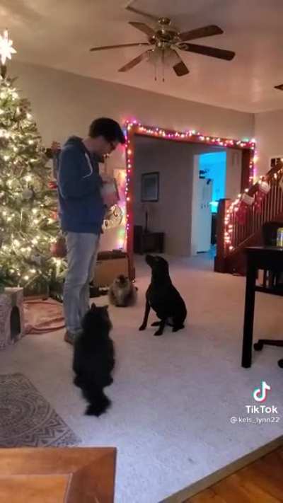 Family pet meeting