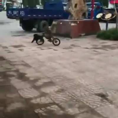 MI7 leaked video