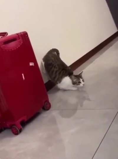 Sneak attack!