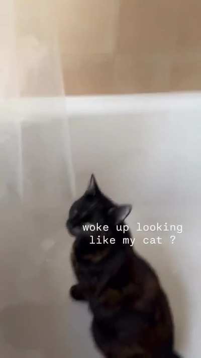story