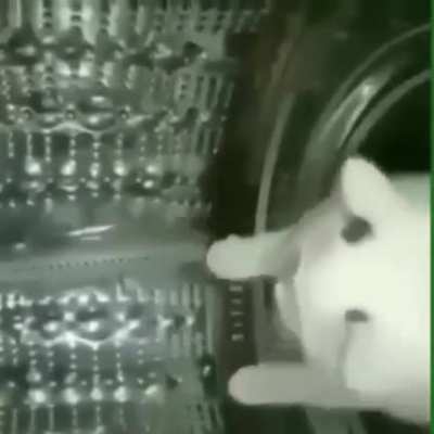 song sauce pls