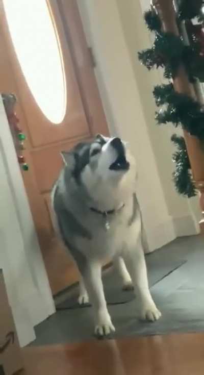 what's he saying?
