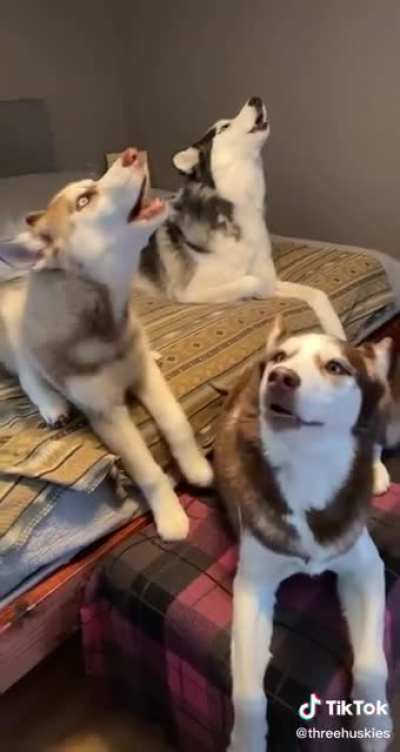 Just so cute