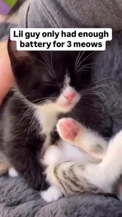 Battery left for just 3 meowss