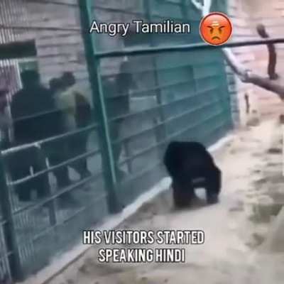 ayo hinthi nhi aata