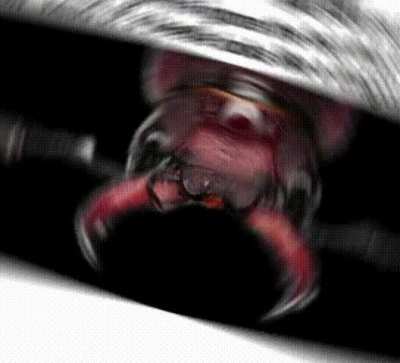 Dregn beetl