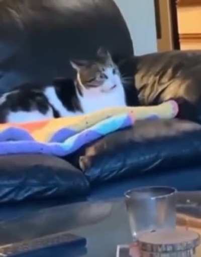 I see things