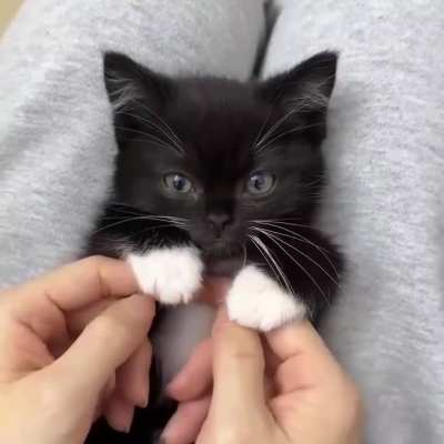 Paws-itively irresistible! 🥰