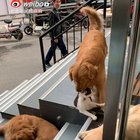 where u going bro
