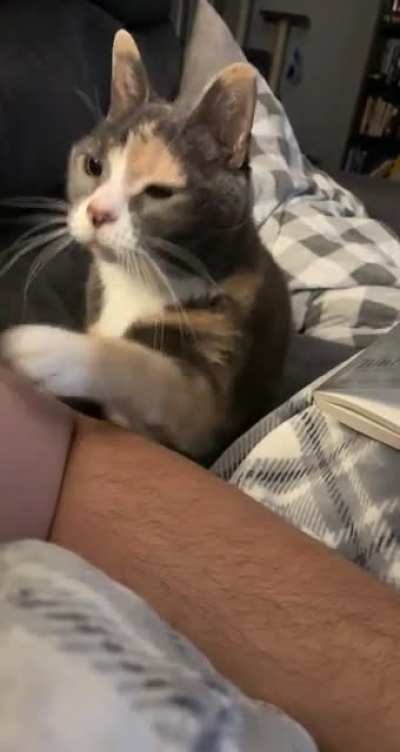 Please sir, just one pet
