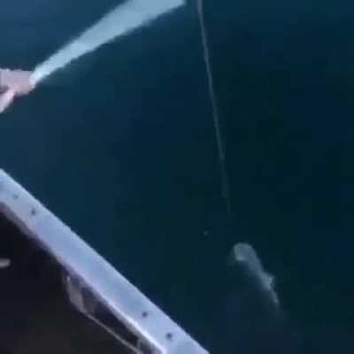 fishing expert