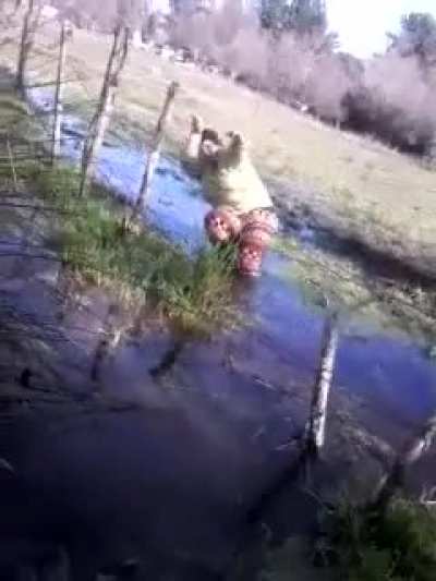 Recaliente la doña jajajaja