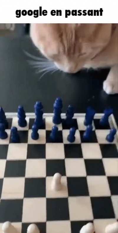 kat