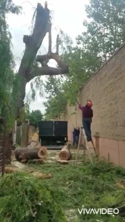 What could go wrong?