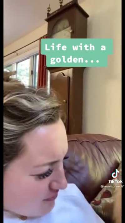 Living with a golden