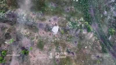 Ukrainian 5th Assault Brigade's 24th Battalion 