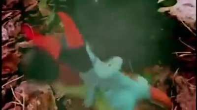 Marli - Cachaça