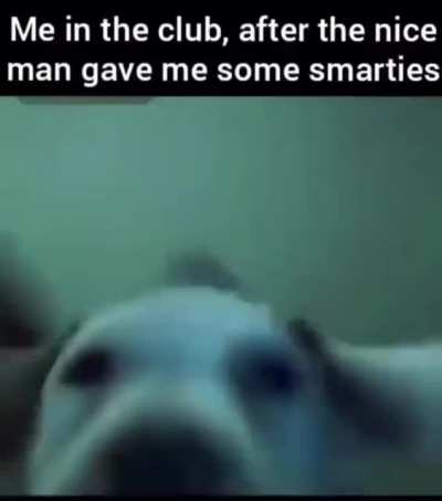 Dogsgettingdown