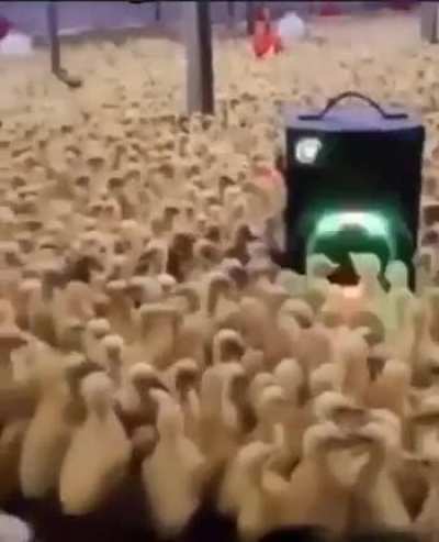 Blursed_party