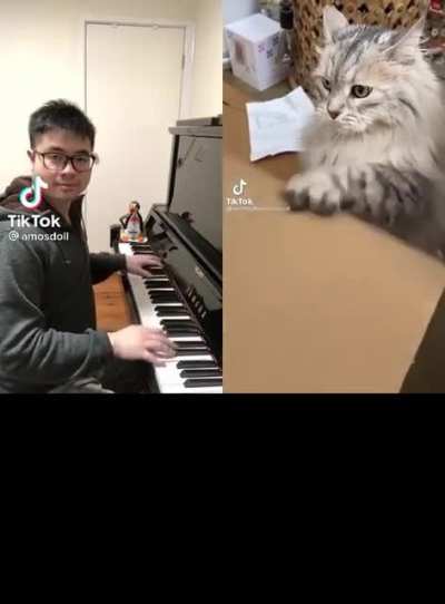 Hit the road cat…