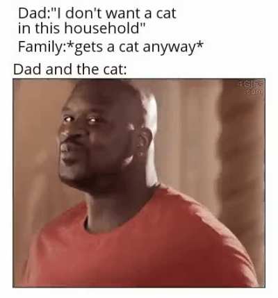 You've probably seen this meme a lot of times but the gif is so kool!