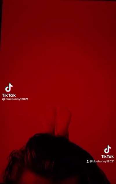 Bunny 2