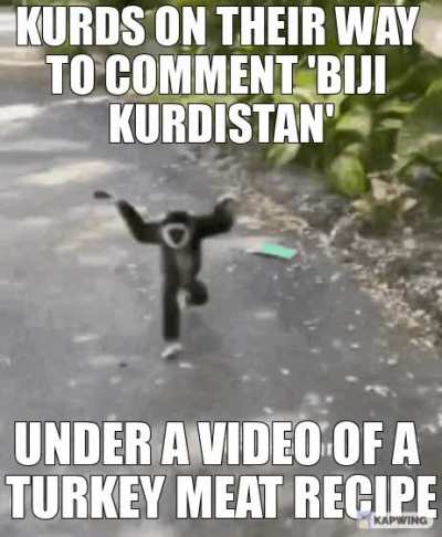 FUCK TURKET🏳️‍🌈🇹🇷🏳️‍🌈 BIJI KURDISTAN 🟥☀🟩
