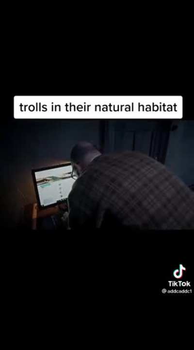 Trolls on their natural habitat