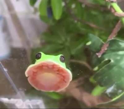 Suction Cup Mode Enabled