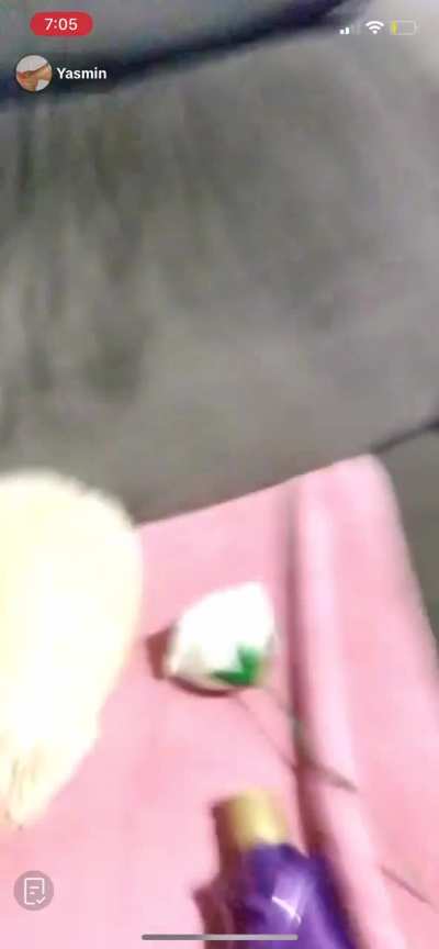 yasminqueenfeet
