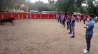 A teacher shows that a bull in a square full of people does not attack anyone if it is not threatened