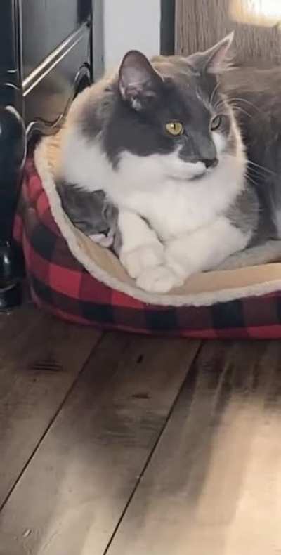 Get off of me please