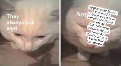 </3 fake friends