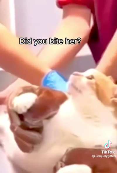 An interrogation