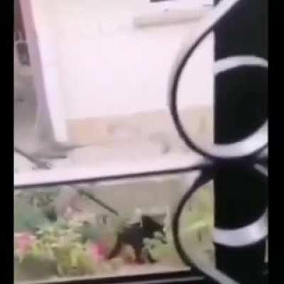 😔