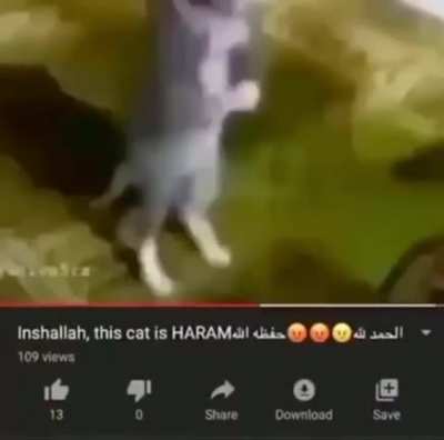 أندريا من فضلك استمع لي وأجب😭<wbr>🦆🥵