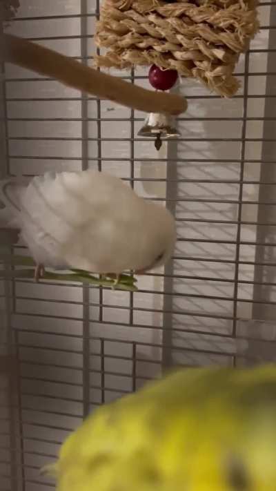 What’s this guy doing??