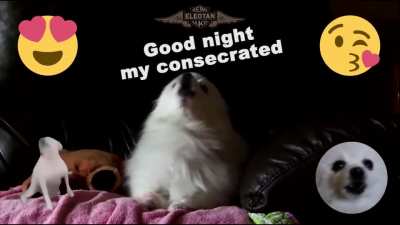 Boa Noite meus consagrados amo vcs ❤