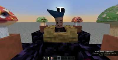 Minecraft Aşukflix Çağırdım