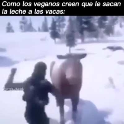 cierto