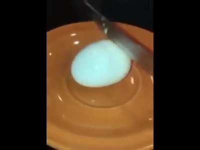 e g g