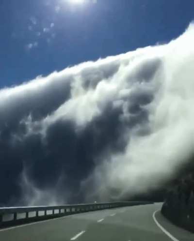 Just the sky falling down on us....