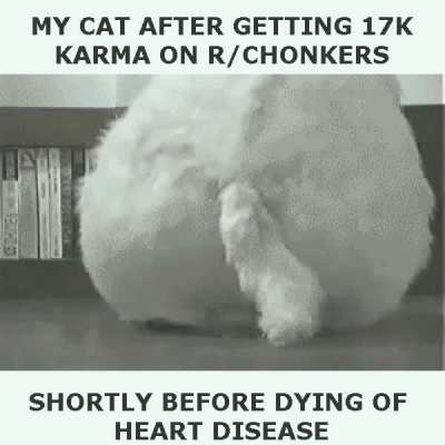 What a wholesome chonker